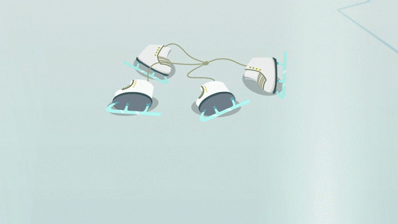 Iceskates…