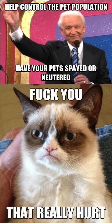 Spay and Neuter Your Pets