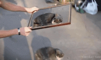 e07.gif
