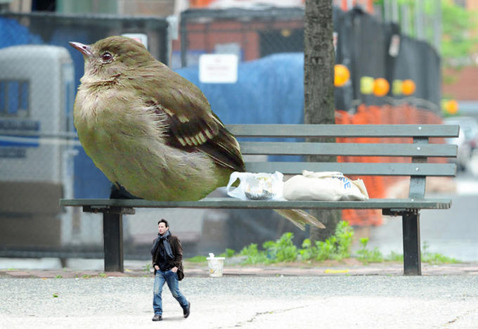 Keanu bird depressed