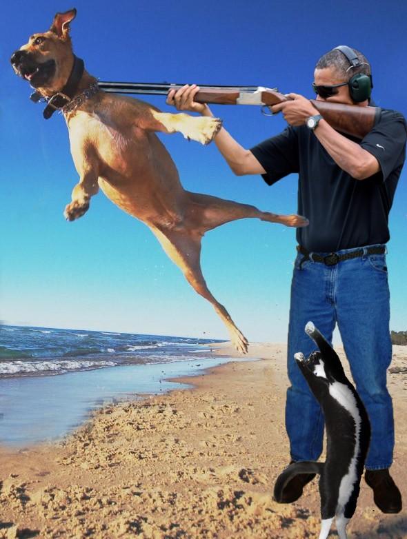 ebb.jpg