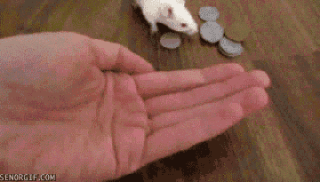 b3e.gif