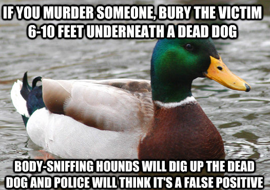 Actual Advice Duck