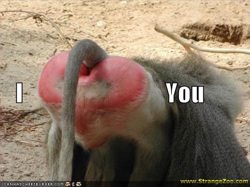 Baboon Butt Heart
