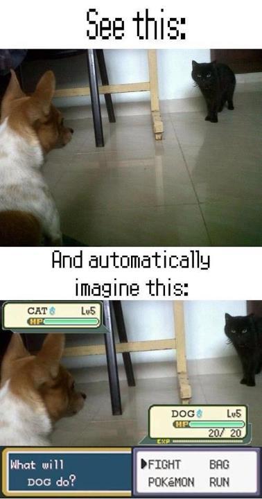 39b.jpg