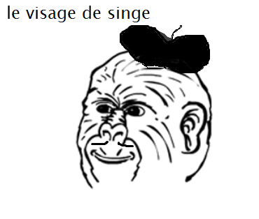 le french face