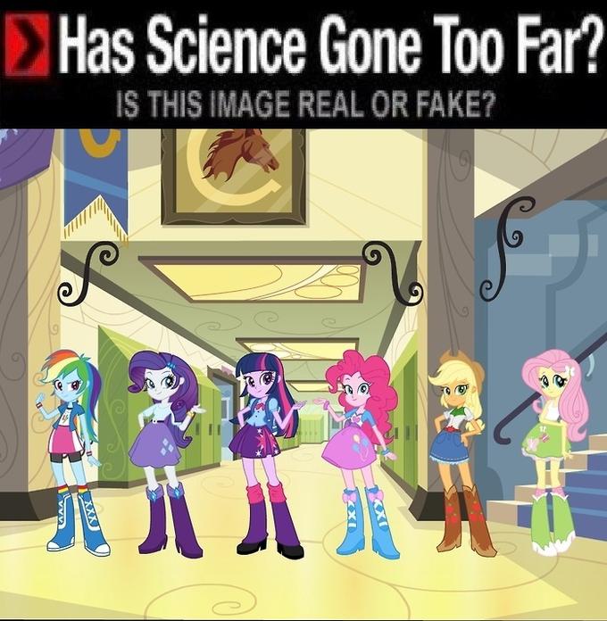 dd7.jpeg