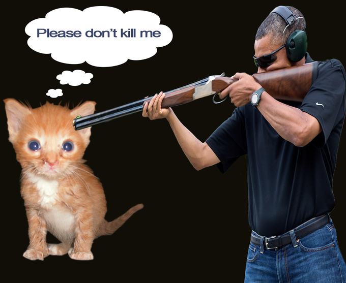 d14.png