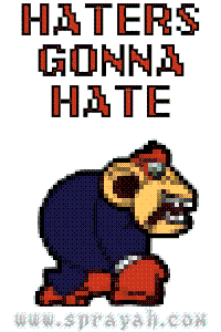 Haters Gonna Hate