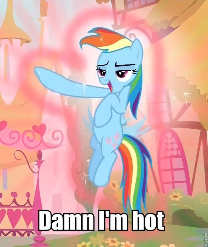 c84.jpg