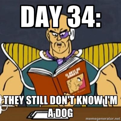 938.jpg