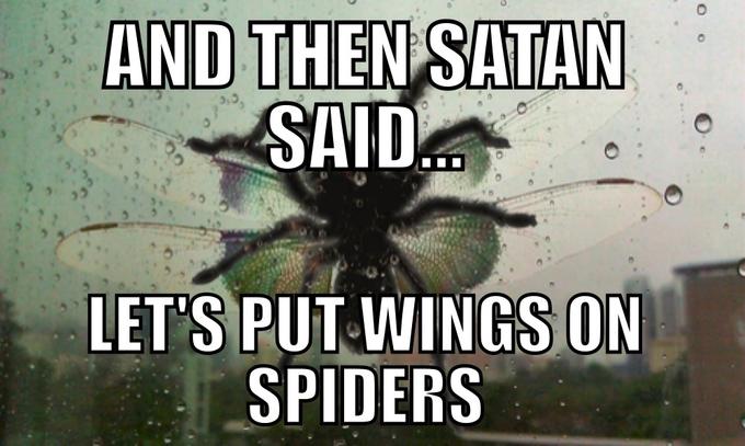 And Then Satan Said, Let's out wings on Spiders