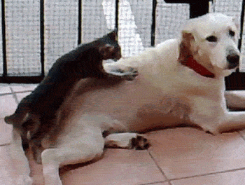 You scratch my back...