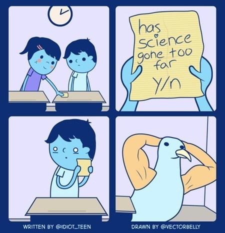 4d9.jpg