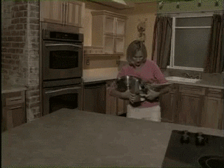 54e.gif
