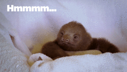 453.gif