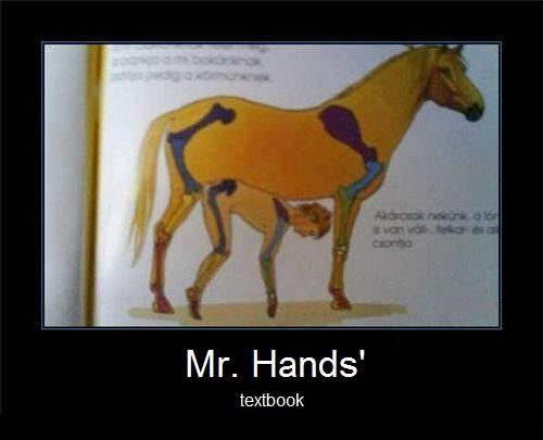 2 Guys 1 Horse Mr Hands Video