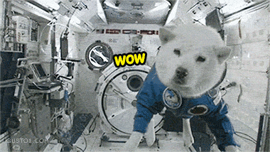 bec.gif
