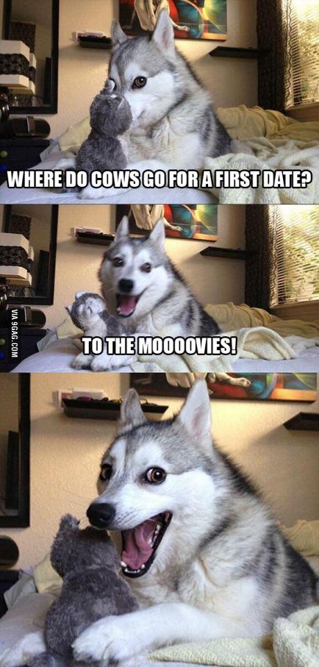 Pun Dog Moo-vies
