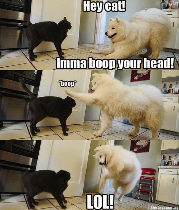 Boop Know Your Meme