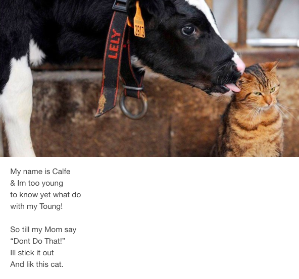 "i lik the bred" | Know Your Meme