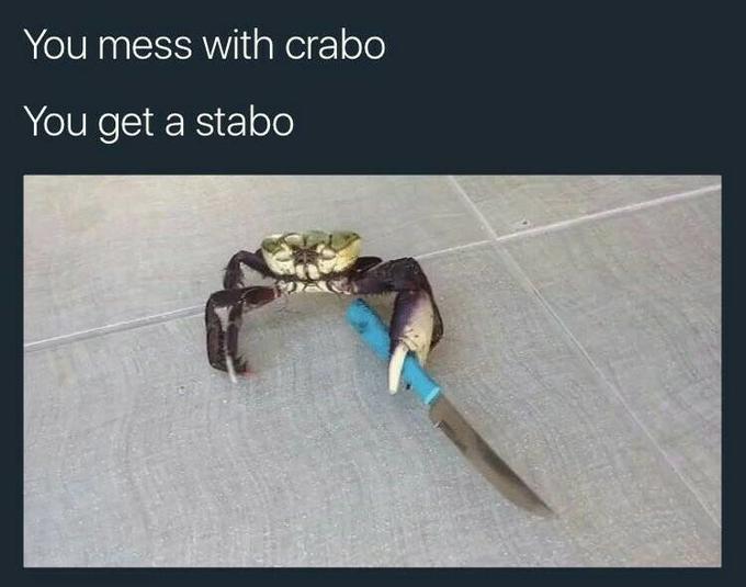 bfd.jpg