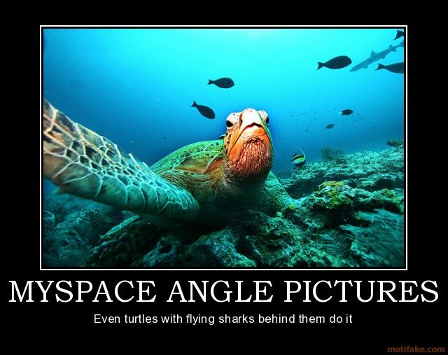 myspace-angle-pictures-myspace-angle-pictures-turtle-shark-demotivational-poster-1216001091.jpg