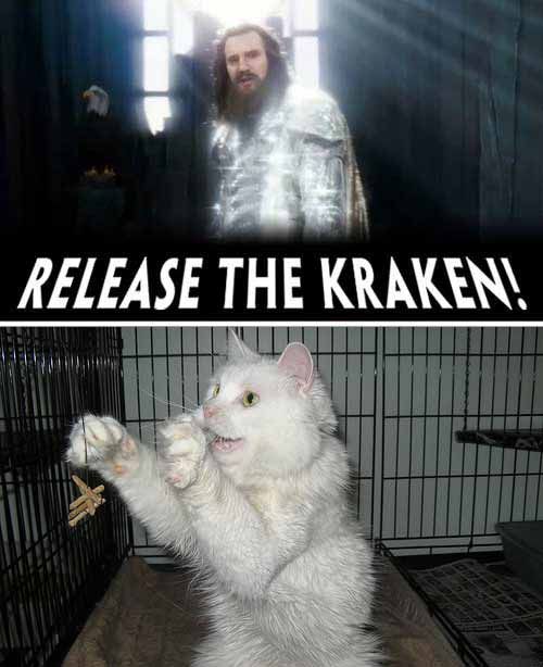 release-the-kraken-pawcat-500js031710.jpg