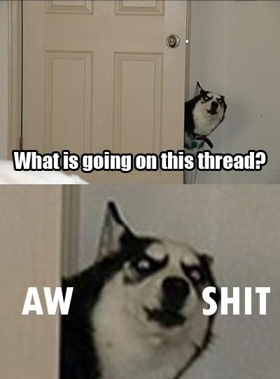 [Image: wgoitt2.jpg]
