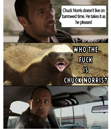 the rock meme