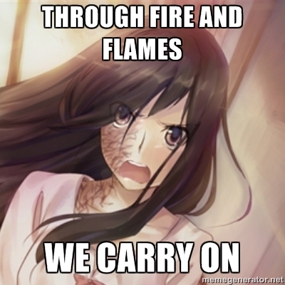 c95.jpg