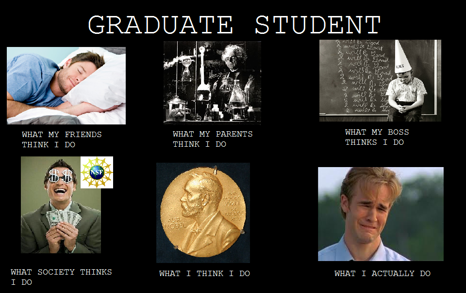 Does anyone read phd thesis picture