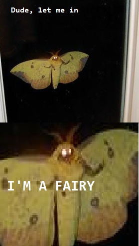 ee5.jpg
