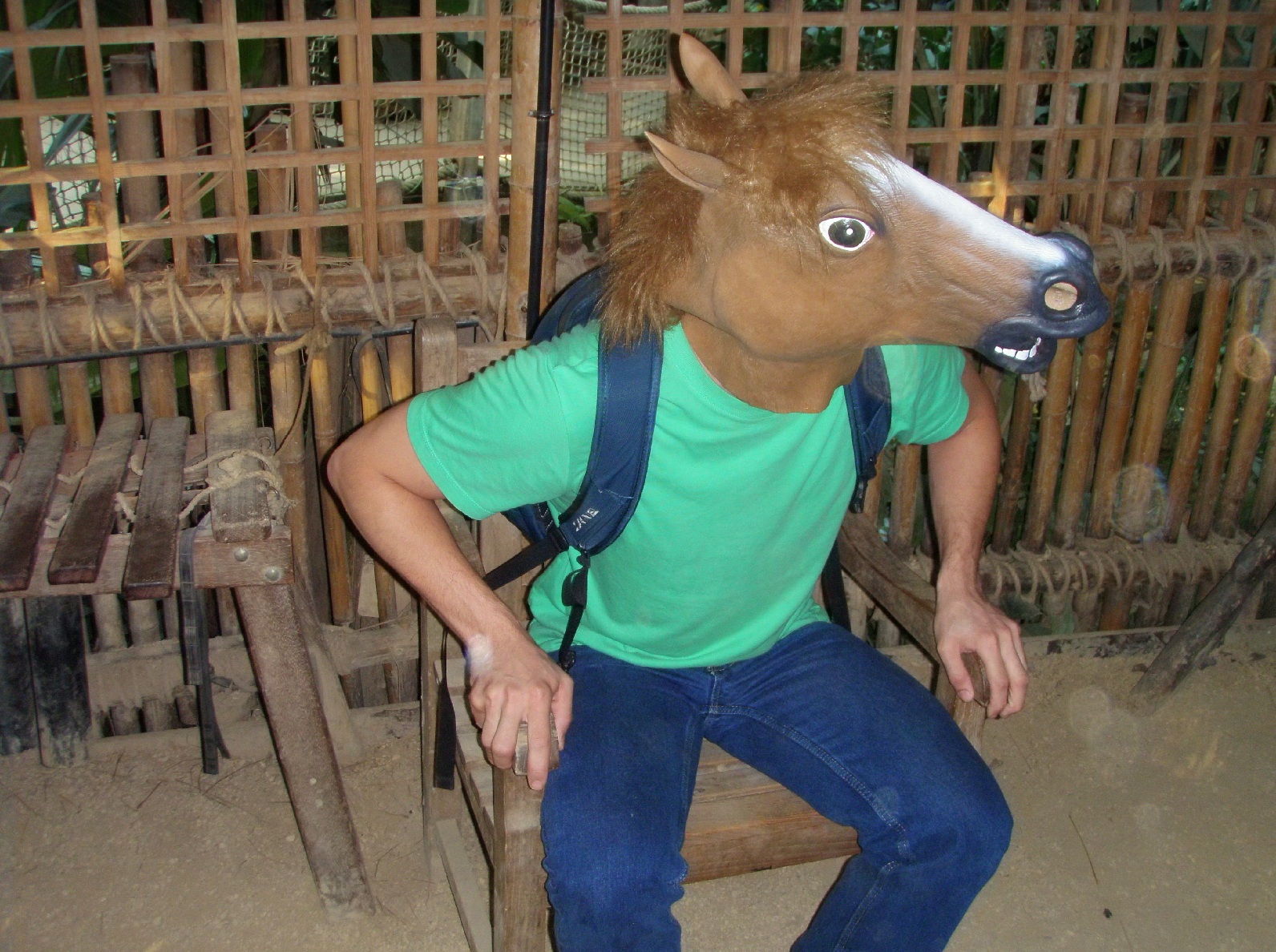 [Image - 366844] | Horse Head Mask | Know Your Meme