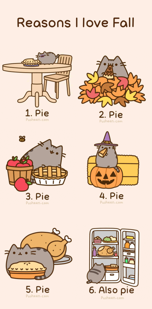 [Image 411531] Pusheen Know Your Meme
