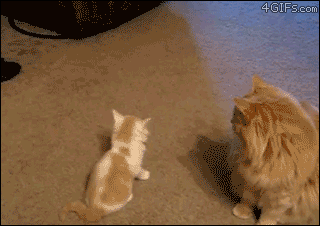e2e.gif