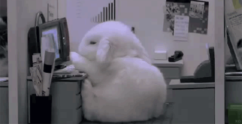 [Image: 078.gif]