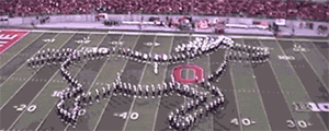 c43.gif