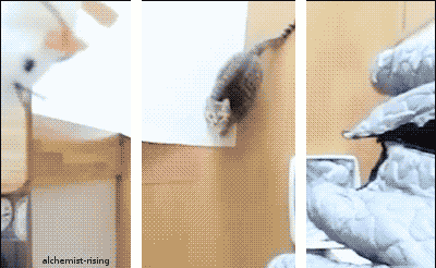 98e.gif