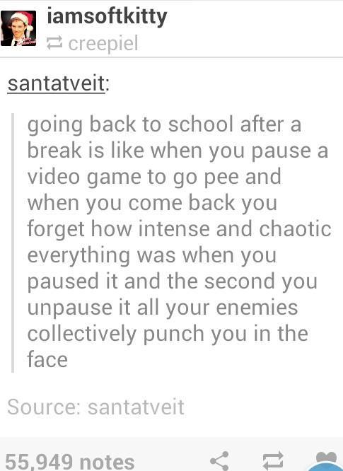 fe6.jpg