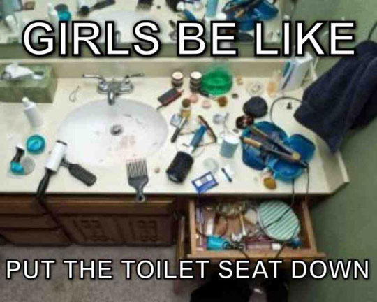 Put The Toilet Seat Down Women Logic Know Your Meme
