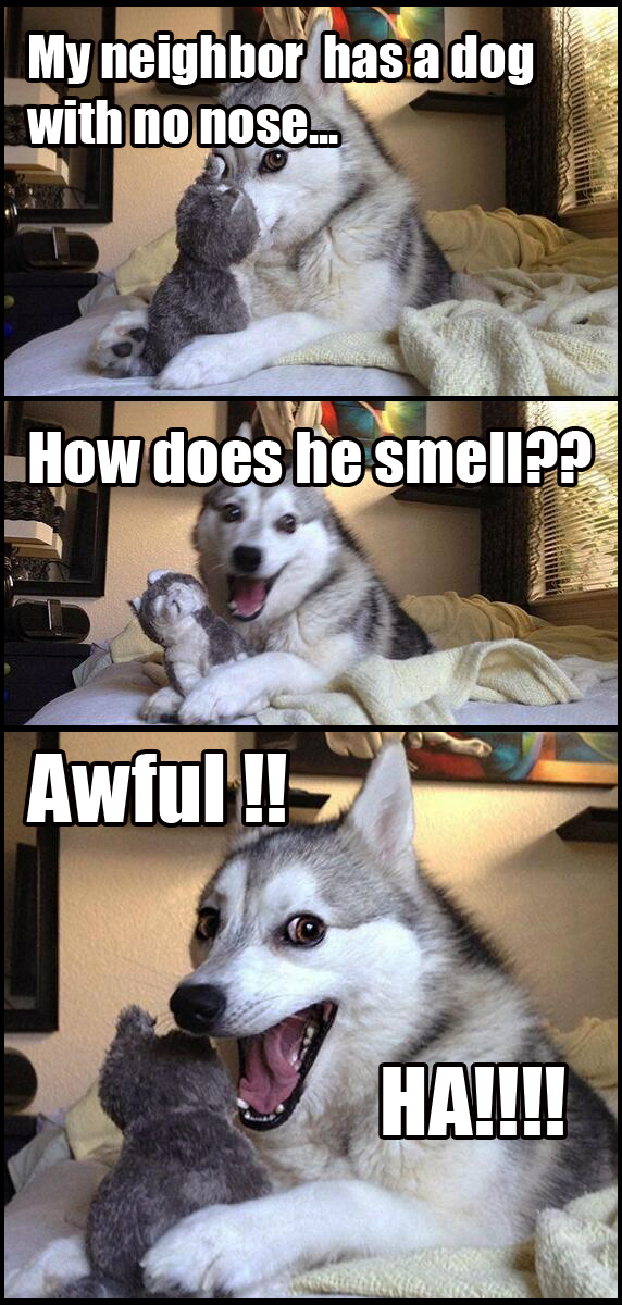 Pun Dog No Nose Pun Dog Know Your Meme