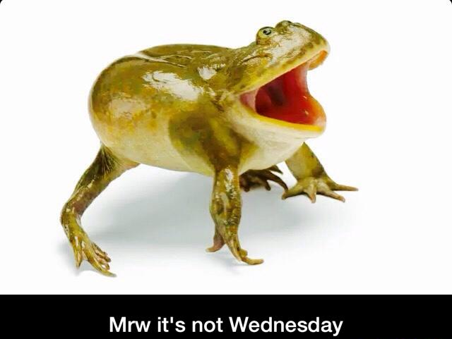 It Is Not Wednesday My Dudes