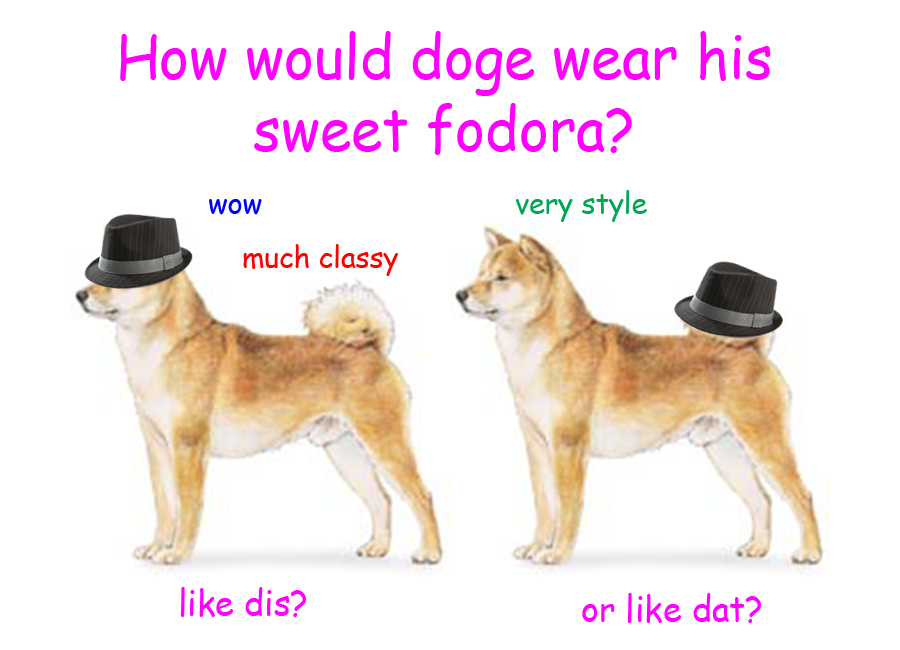 based doggo don't care How Should a Dog Wear Pants? Know Your Meme