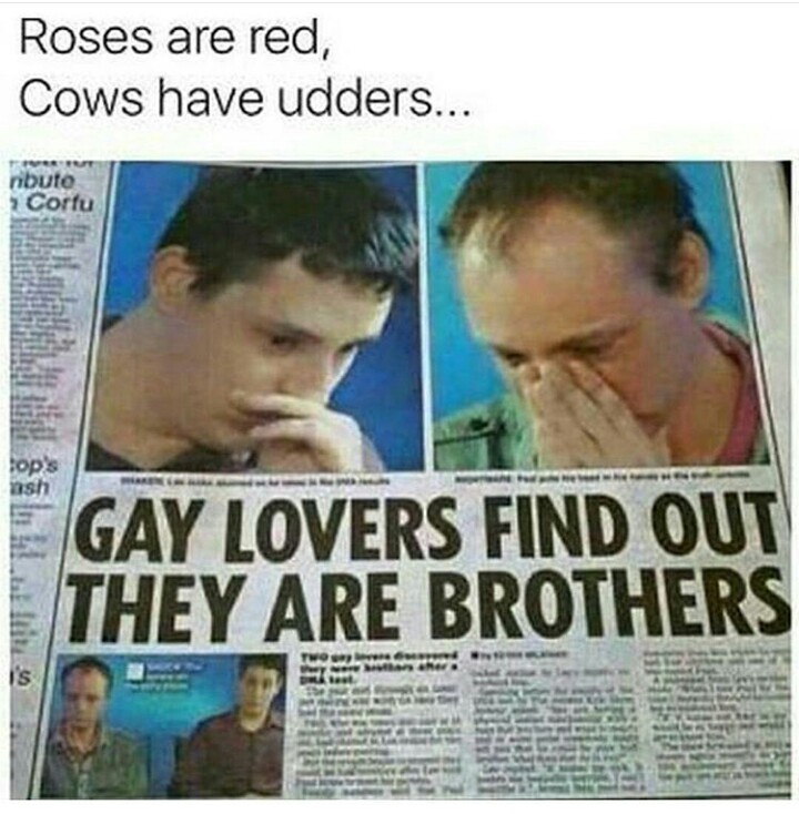 Roses Are Red, Cows Have Udders... Roses Are Red Know Your Meme