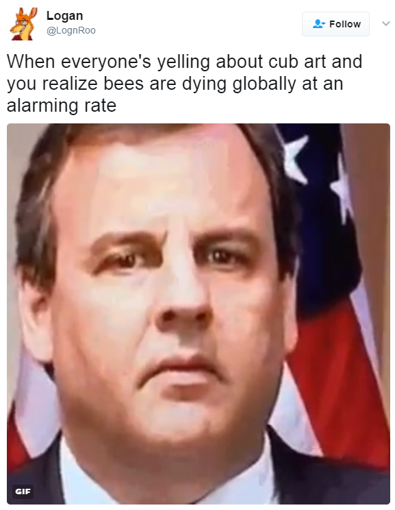 When everyone s yelling about cub art and you realize bees are dying 