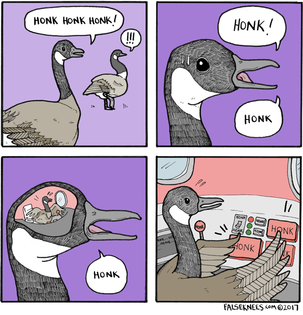 "Honk Honk" Goose Birds Know Your Meme