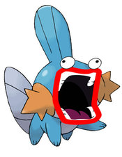 Shoopkip