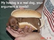 50_real_dog