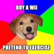 Wiidog